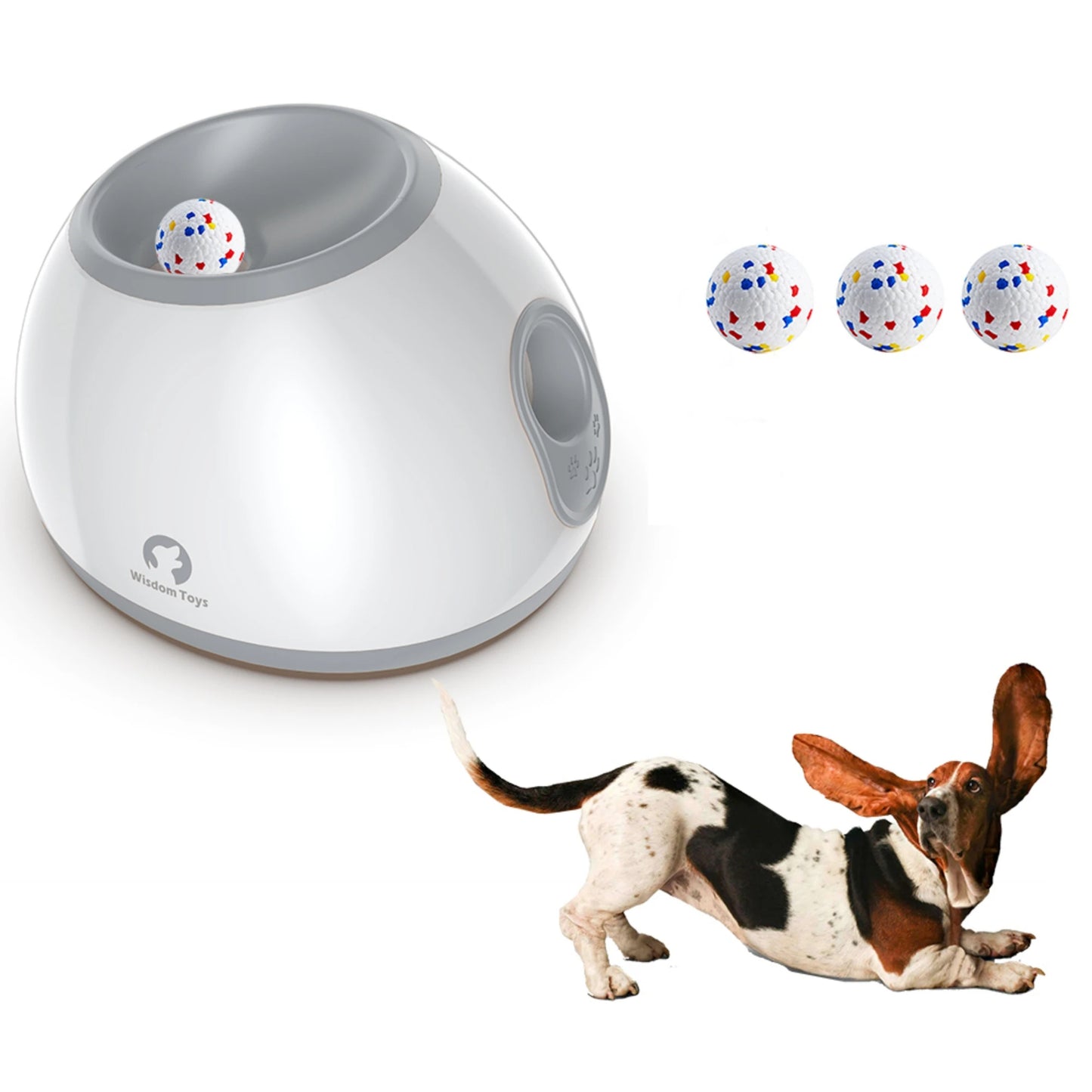 Automatic Fetch Fun Machine